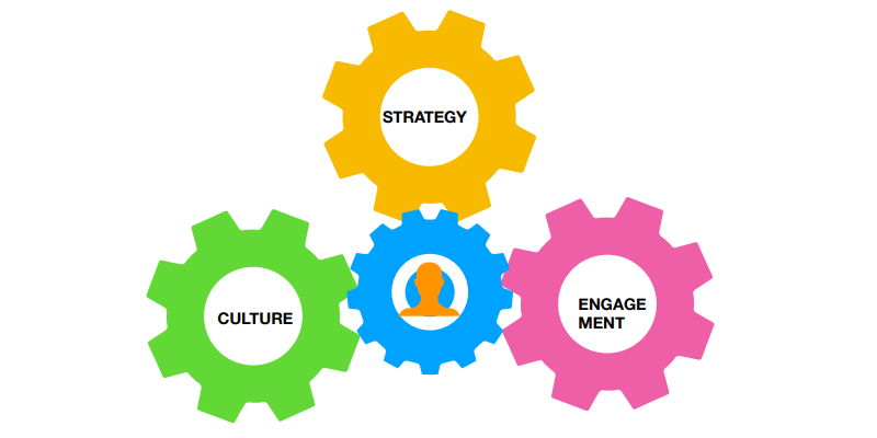 Strategy Culture & Engagement